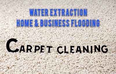 boerne carpet cleaning pros water extraction